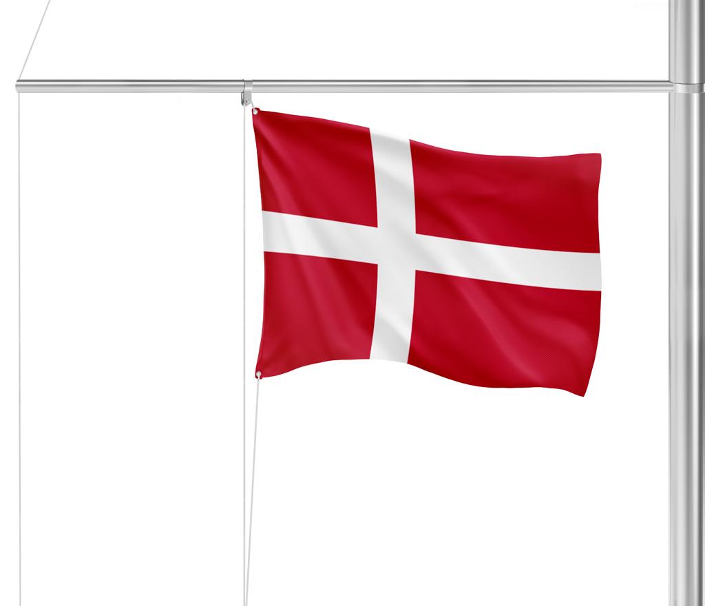Gastlandflagge Dänemark 40X60cm*